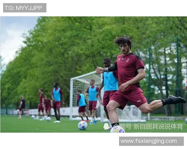 多纳鲁马谈纽卡，托纳利是我兄弟——足球场上的兄弟情谊与成长故事